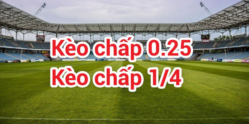 Dạng kèo chấp 1/4 cho người chơi
