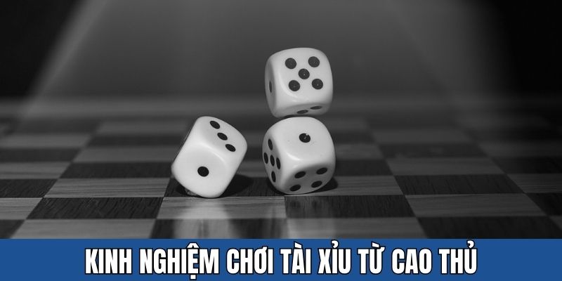 kinh nghiệm chơi tài xỉu
